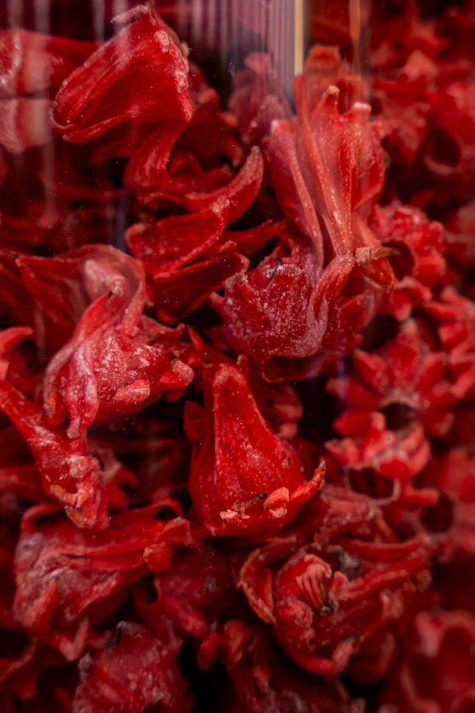 Gros plan sur des fleurs d'hibiscus séchées bio