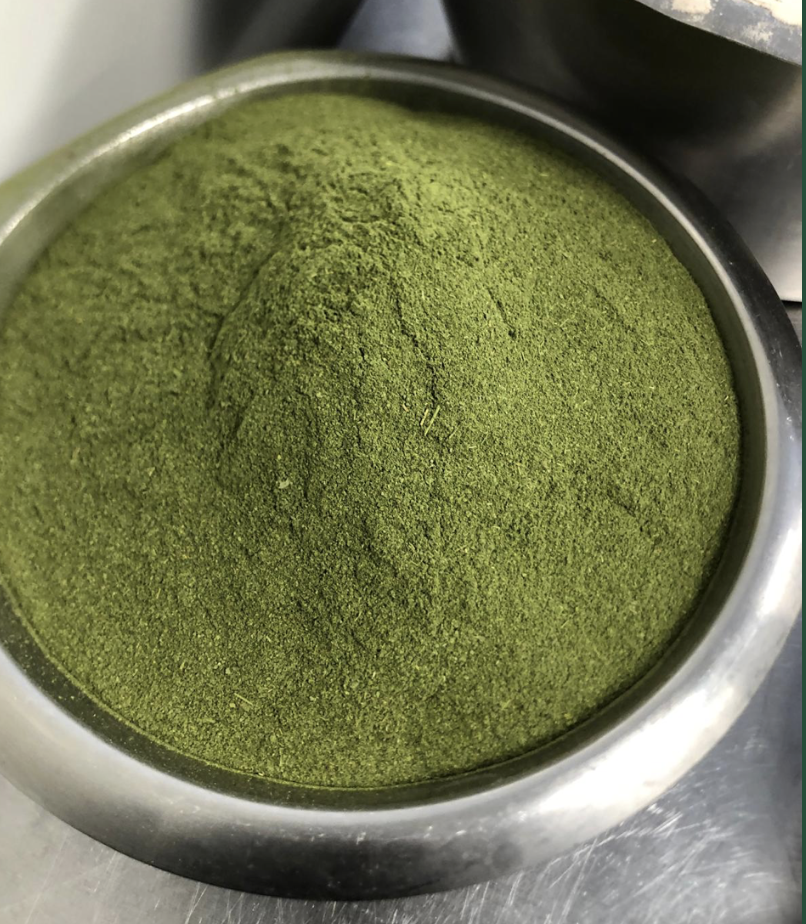 Poudre de Moringa Bio (1kg)